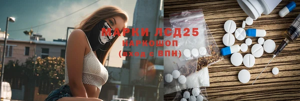 PSILOCYBIN Ельня