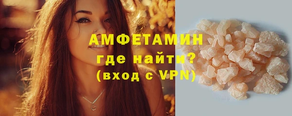 PSILOCYBIN Ельня