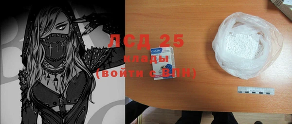 PSILOCYBIN Ельня
