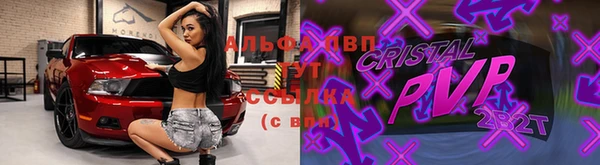 PSILOCYBIN Ельня