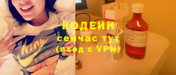 PSILOCYBIN Ельня