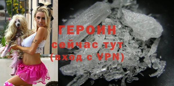 PSILOCYBIN Ельня