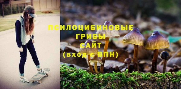PSILOCYBIN Ельня