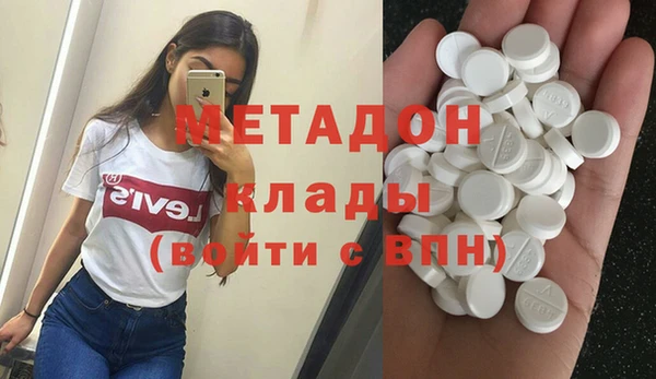 PSILOCYBIN Ельня